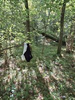 WhatsApp Bild 2025-09-15 um 11.05.39_39a2cdb5.jpg