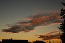 DSC_0524.jpg