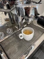 IMG_3966.jpeg