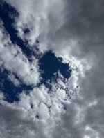 IMG_9973.jpeg