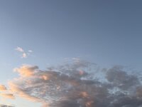 IMG_9977.jpeg