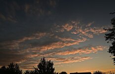 DSC_0573.jpg