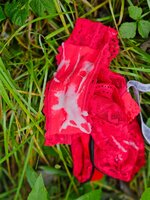 20230830_093208.jpg