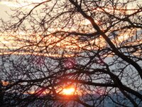 013 (2).JPG 013 (2).JPG