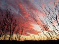 150 (2).JPG 150 (2).JPG