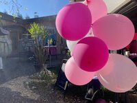 IMG_9940.jpeg IMG_9940.jpeg