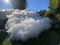 IMG_9945.jpeg IMG_9945.jpeg