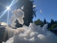 IMG_9946.jpeg IMG_9946.jpeg