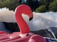 IMG_9944.jpeg IMG_9944.jpeg