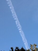 20,0920 um 13.45.41_aaf50cf1.jpg