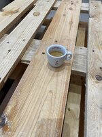 IMG_3967.jpeg