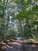 IMG_4590.jpeg