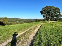 IMG_4593.jpeg