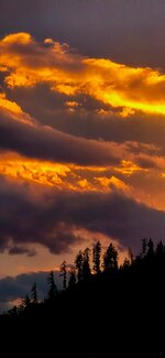 20250922_185612.jpg