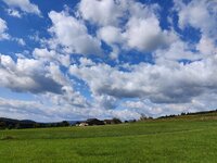 IMG_20250917_125744.jpg