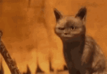 1758976735646.gif