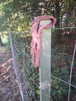 WhatsApp Bild 2025-09-28 um 08.21.17_1ee9b0ac.jpg