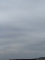 IMG_0586.jpeg
