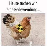 1759075772317.png