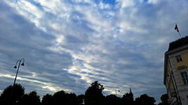 20250929_172218.jpg