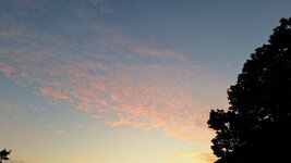 20250930_064734.jpg