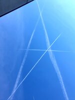 20211001_074141.jpg
