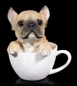 Hund-In-Tasse-Franzoesische-Bulldogge-1.jpg