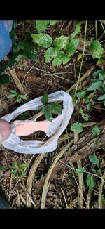 Screenshot_20250812_184328_Video Player.jpg