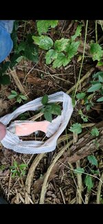 Screenshot_20250812_184352_Video Player.jpg