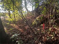 IMG_9782.jpeg