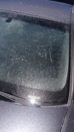 20251003_063429.jpg