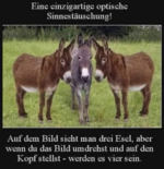 Screenshot 2023-08-31 175406.png