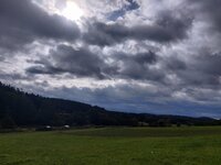 IMG_20251005_143828.jpg