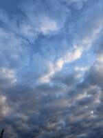 IMG_0137.jpeg