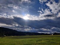 IMG_20251005_161640.jpg