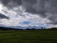 IMG_20251005_160533.jpg