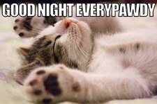 Gute Nacht everypoody.jpg