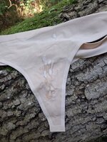 WhatsApp Bild 2025-10-03 um 17.41.29_4e9355f1.jpg