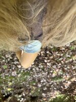 IMG_3277.jpeg