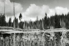 Am Spiegelsee.JPG