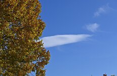 DSC_5860-Sky.jpg
