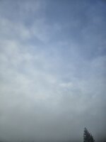 1000023207.jpg