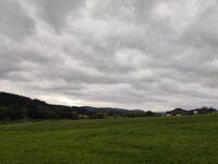 IMG_20251010_155157.jpg