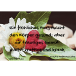 ein-froehliches-herz-macht-den-koerper-gesund-aber-ein-trauriges-gemuet-macht-kraftlos-und-krank.png