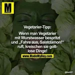 OIP.webp