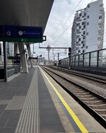 IMG_1583.jpeg