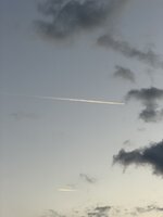 IMG_0254.jpeg