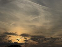 IMG_0256.jpeg
