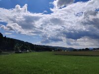 IMG_20250803_153113.jpg