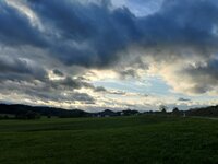 IMG_20251005_173546.jpg